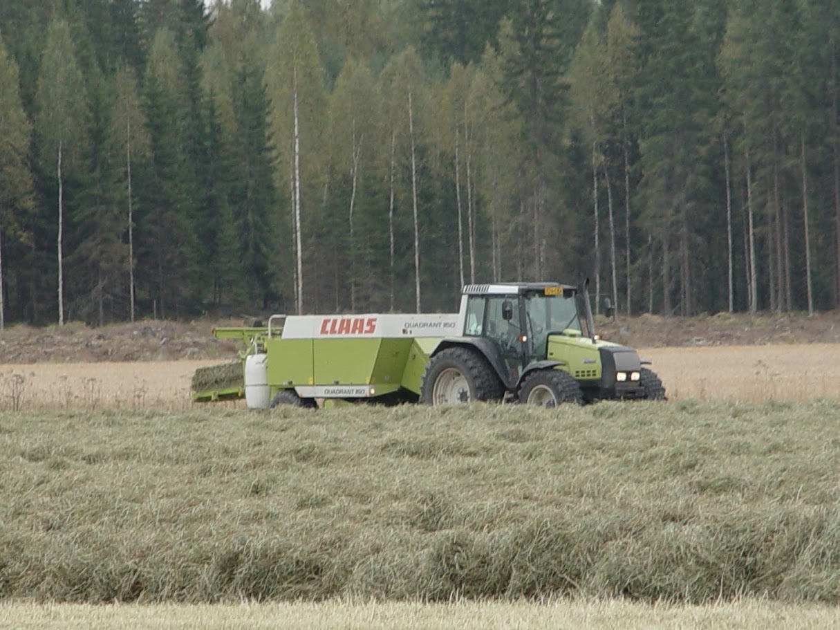 Traktori ja paalain korjaavat heinää pellolla metsän reunassa